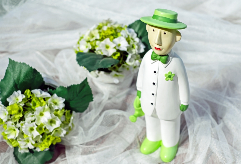 vitrine-CARCES-min_man-person-flower-green-toy-fig-546529-pxhere.com